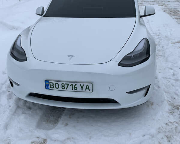Белый Тесла Model Y, объемом двигателя 0 л и пробегом 14 тыс. км за 31000 $, фото 1 на Automoto.ua