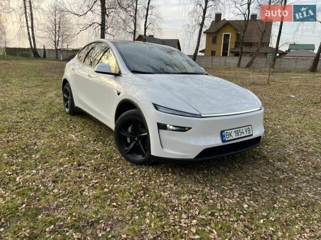 Білий Тесла Model Y, об'ємом двигуна 0 л та пробігом 420 тис. км за 39000 $, фото 1 на Automoto.ua