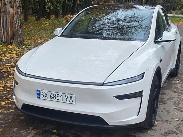 Білий Тесла Model Y, об'ємом двигуна 0 л та пробігом 29 тис. км за 49900 $, фото 1 на Automoto.ua
