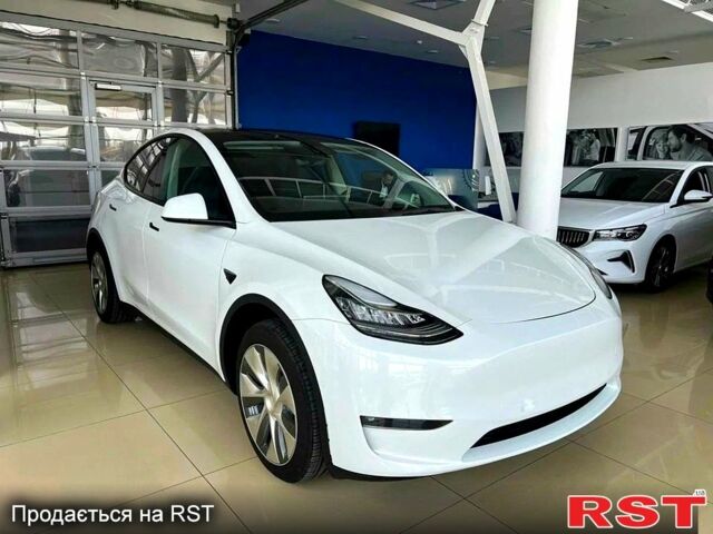 Тесла Model Y, об'ємом двигуна 0.38 л та пробігом 83 тис. км за 22000 $, фото 1 на Automoto.ua