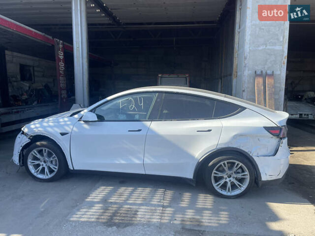 Тесла Model Y, объемом двигателя 0 л и пробегом 35 тыс. км за 21500 $, фото 1 на Automoto.ua