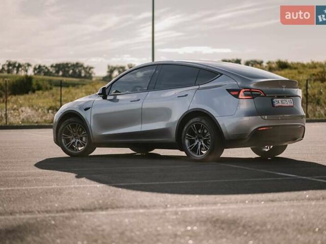 Серый Тесла Model Y, объемом двигателя 0 л и пробегом 6 тыс. км за 33500 $, фото 1 на Automoto.ua