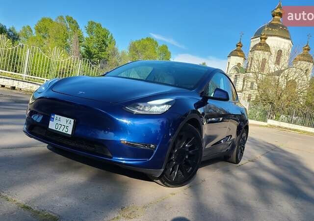 Синій Тесла Model Y, об'ємом двигуна 0 л та пробігом 110 тис. км за 24900 $, фото 1 на Automoto.ua