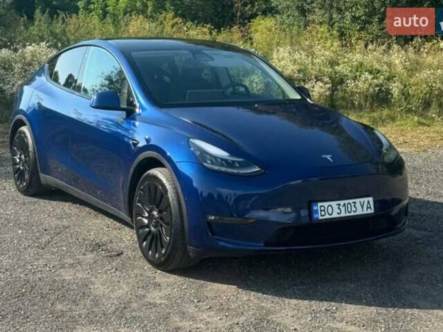 Синий Тесла Model Y, объемом двигателя 0 л и пробегом 72 тыс. км за 24800 $, фото 1 на Automoto.ua