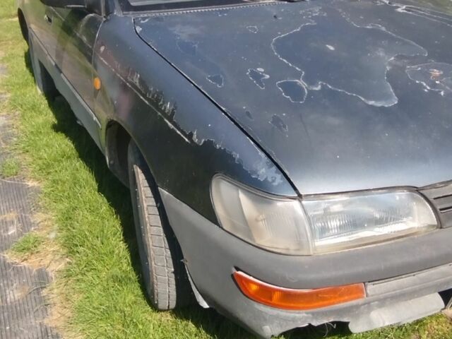 Серый Тойота Королла, объемом двигателя 1.3 л и пробегом 260 тыс. км за 846 $, фото 1 на Automoto.ua