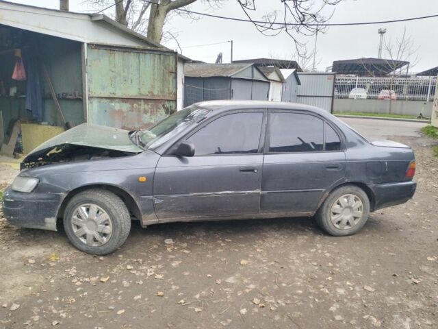 Серый Тойота Королла, объемом двигателя 1.3 л и пробегом 250 тыс. км за 500 $, фото 1 на Automoto.ua