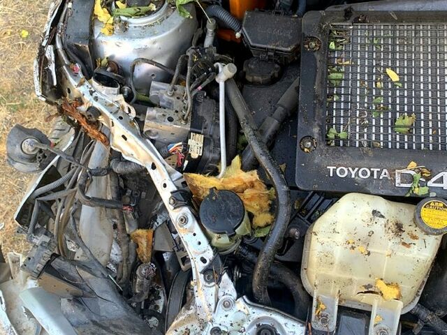 Серый Тойота РАВ 4, объемом двигателя 2 л и пробегом 200 тыс. км за 3100 $, фото 1 на Automoto.ua