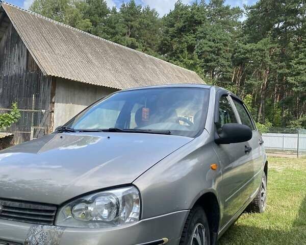 Серый ВАЗ 1119 Калина, объемом двигателя 1.6 л и пробегом 130 тыс. км за 1950 $, фото 1 на Automoto.ua