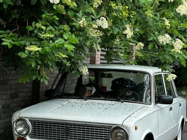 Білий ВАЗ 2101, об'ємом двигуна 1.3 л та пробігом 101 тис. км за 584 $, фото 1 на Automoto.ua
