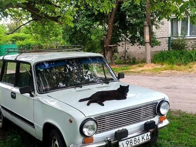 Білий ВАЗ 2102, об'ємом двигуна 1.3 л та пробігом 150 тис. км за 830 $, фото 1 на Automoto.ua