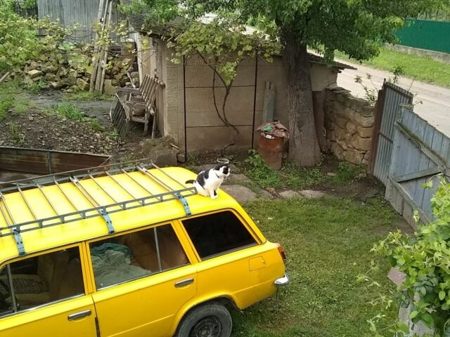 Жовтий ВАЗ 2102, об'ємом двигуна 1 л та пробігом 9 тис. км за 373 $, фото 1 на Automoto.ua