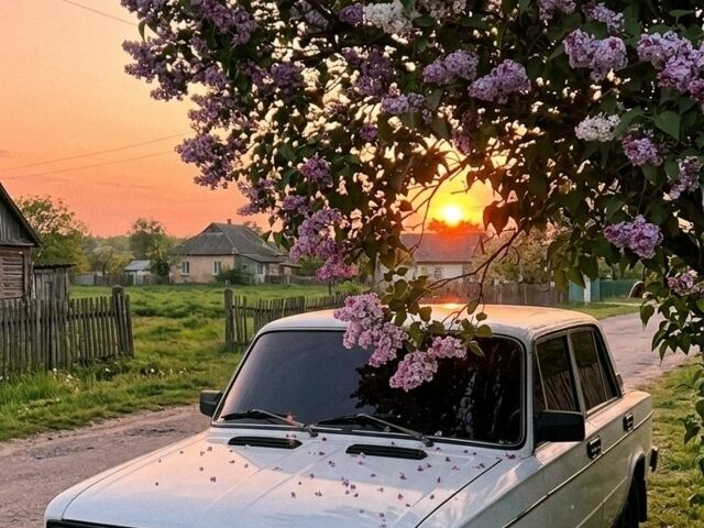 Білий ВАЗ 2106, об'ємом двигуна 0 л та пробігом 8 тис. км за 404 $, фото 1 на Automoto.ua