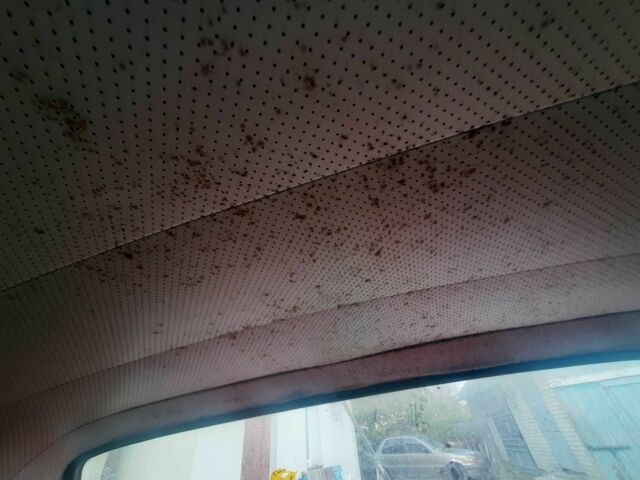 Белый ВАЗ 2106, объемом двигателя 1.6 л и пробегом 999 тыс. км за 350 $, фото 1 на Automoto.ua