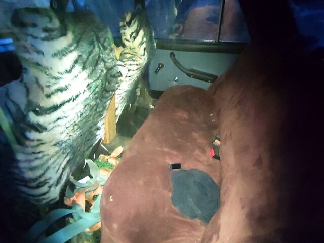 Синий ВАЗ 2106, объемом двигателя 1.3 л и пробегом 0 тыс. км за 600 $, фото 1 на Automoto.ua