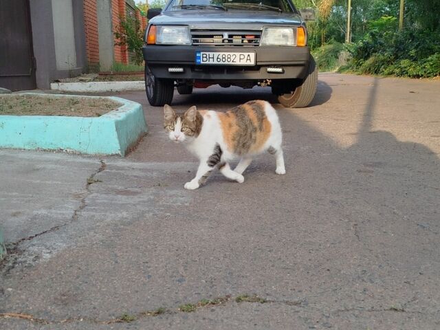 Серый ВАЗ 21099, объемом двигателя 1.6 л и пробегом 2 тыс. км за 2100 $, фото 1 на Automoto.ua