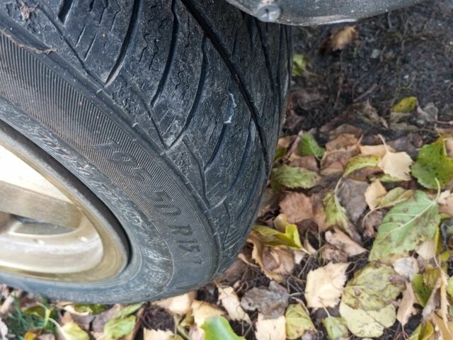 Серый ВАЗ 21099, объемом двигателя 0 л и пробегом 1000 тыс. км за 835 $, фото 1 на Automoto.ua