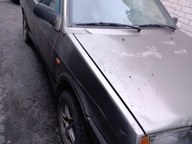 Серый ВАЗ 21099, объемом двигателя 0 л и пробегом 100 тыс. км за 256 $, фото 1 на Automoto.ua