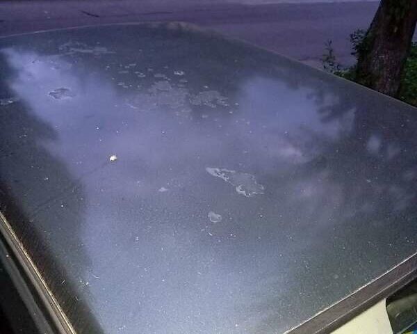 Зелений ВАЗ 2115 Самара, об'ємом двигуна 1.6 л та пробігом 180 тис. км за 1600 $, фото 1 на Automoto.ua