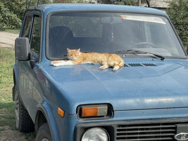 Синий ВАЗ 21214, объемом двигателя 1.7 л и пробегом 138 тыс. км за 1905 $, фото 1 на Automoto.ua