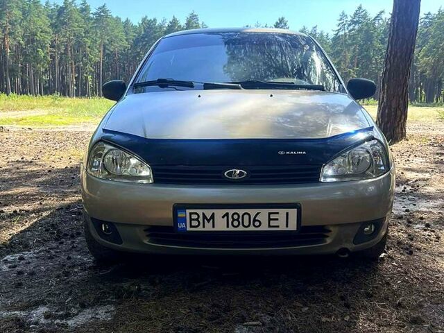 Серый ВАЗ Kalina, объемом двигателя 1.6 л и пробегом 230 тыс. км за 2300 $, фото 1 на Automoto.ua
