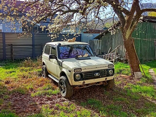 Білий ВАЗ Нива, об'ємом двигуна 1.6 л та пробігом 204 тис. км за 3500 $, фото 1 на Automoto.ua