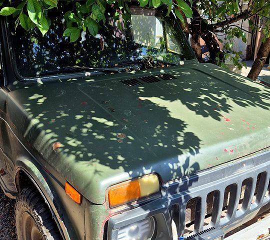 Зелений ВАЗ Нива, об'ємом двигуна 1.6 л та пробігом 200 тис. км за 1200 $, фото 1 на Automoto.ua