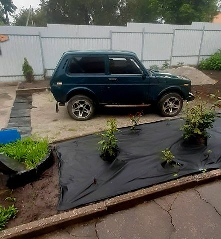 Зеленый ВАЗ Нива, объемом двигателя 1.6 л и пробегом 111 тыс. км за 1150 $, фото 1 на Automoto.ua