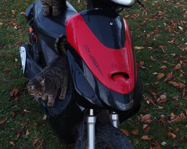 Чорний Вайпер Wind, об'ємом двигуна 0.8 л та пробігом 8 тис. км за 300 $, фото 1 на Automoto.ua