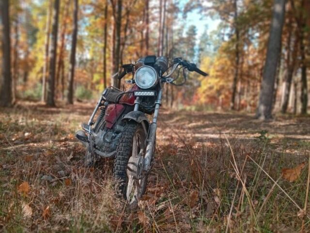 Вайпер Інша, об'ємом двигуна 0.13 л та пробігом 0 тис. км за 358 $, фото 1 на Automoto.ua