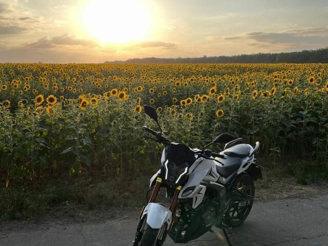 Вайпер Другая, объемом двигателя 0.2 л и пробегом 0 тыс. км за 1020 $, фото 1 на Automoto.ua