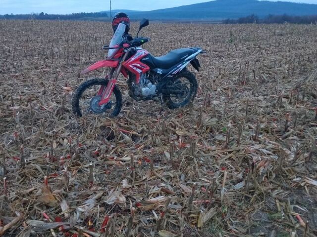 Вайпер Другая, объемом двигателя 0.25 л и пробегом 0 тыс. км за 1500 $, фото 1 на Automoto.ua