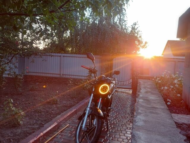 Вайпер Інша, об'ємом двигуна 0.15 л та пробігом 0 тис. км за 569 $, фото 1 на Automoto.ua