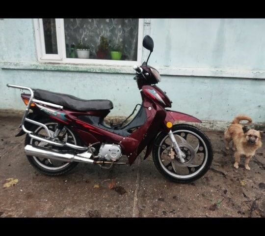 Вайпер Другая, объемом двигателя 0.11 л и пробегом 0 тыс. км за 381 $, фото 1 на Automoto.ua