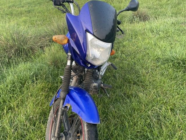 Вайпер Інша, об'ємом двигуна 0.15 л та пробігом 0 тис. км за 450 $, фото 1 на Automoto.ua