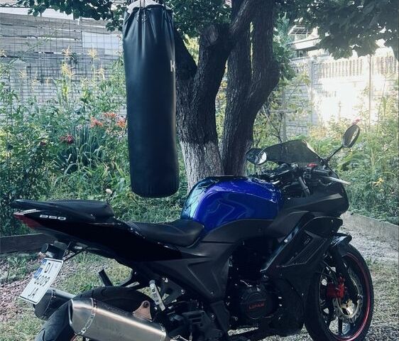 Вайпер Другая, объемом двигателя 0.25 л и пробегом 0 тыс. км за 826 $, фото 1 на Automoto.ua