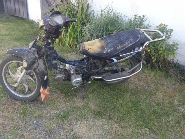 Вайпер Інша, об'ємом двигуна 0.13 л та пробігом 0 тис. км за 203 $, фото 1 на Automoto.ua