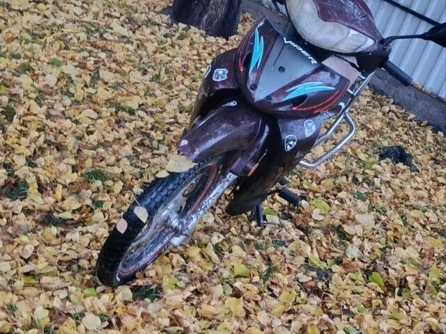 Вайпер Інша, об'ємом двигуна 0.13 л та пробігом 0 тис. км за 250 $, фото 1 на Automoto.ua