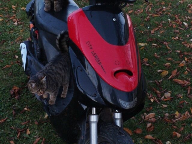 Вайпер Другая, объемом двигателя 80 л и пробегом 0 тыс. км за 300 $, фото 1 на Automoto.ua