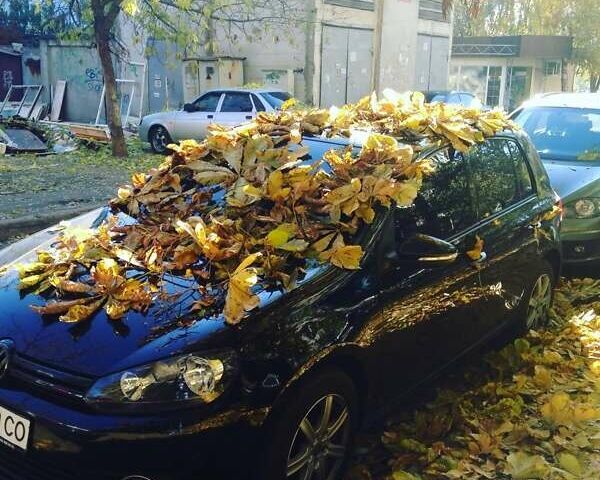 Черный Фольксваген Гольф, объемом двигателя 1.6 л и пробегом 214 тыс. км за 8200 $, фото 1 на Automoto.ua