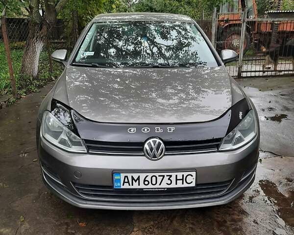 Сірий Фольксваген Гольф, об'ємом двигуна 1.6 л та пробігом 209 тис. км за 10500 $, фото 1 на Automoto.ua