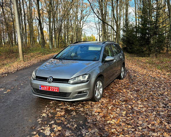Сірий Фольксваген Гольф, об'ємом двигуна 1.6 л та пробігом 245 тис. км за 12500 $, фото 1 на Automoto.ua