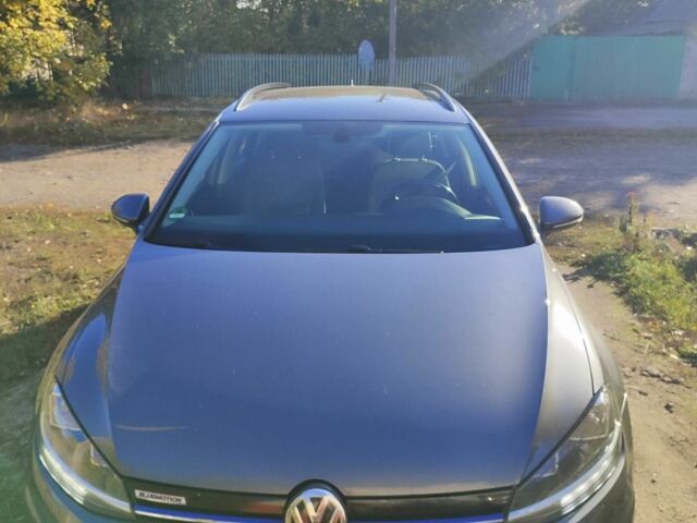 Серый Фольксваген Гольф, объемом двигателя 1.6 л и пробегом 300 тыс. км за 11500 $, фото 1 на Automoto.ua