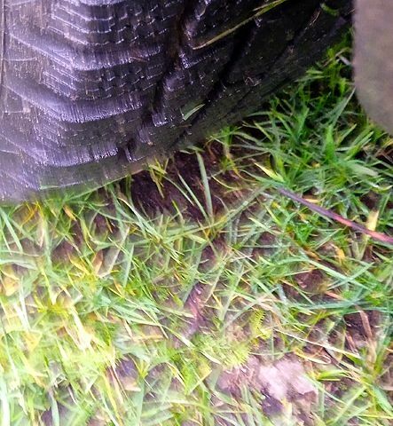 Синій Фольксваген Гольф, об'ємом двигуна 1.3 л та пробігом 200 тис. км за 1700 $, фото 1 на Automoto.ua