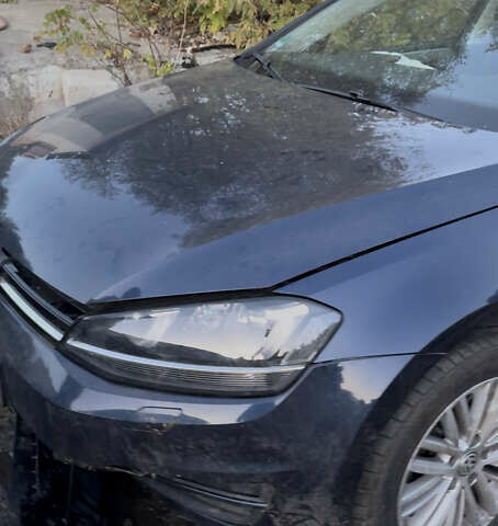 Синій Фольксваген Гольф, об'ємом двигуна 1.6 л та пробігом 217 тис. км за 4999 $, фото 1 на Automoto.ua