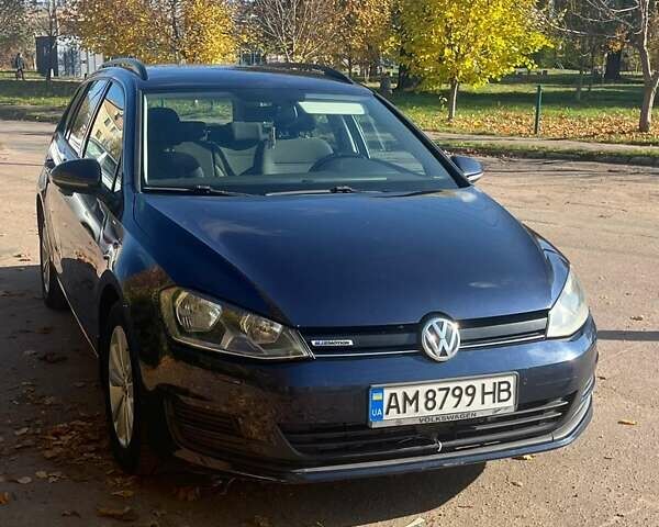 Синий Фольксваген Гольф, объемом двигателя 1.4 л и пробегом 248 тыс. км за 8900 $, фото 1 на Automoto.ua
