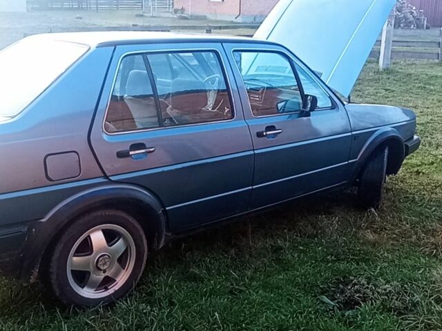 Сірий Фольксваген Джетта, об'ємом двигуна 0 л та пробігом 3 тис. км за 1198 $, фото 1 на Automoto.ua