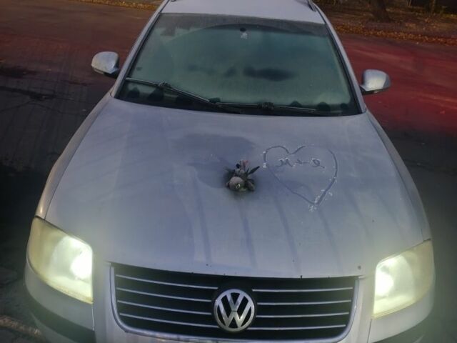 Сірий Фольксваген Пассат Варіант, об'ємом двигуна 0 л та пробігом 12 тис. км за 3325 $, фото 1 на Automoto.ua