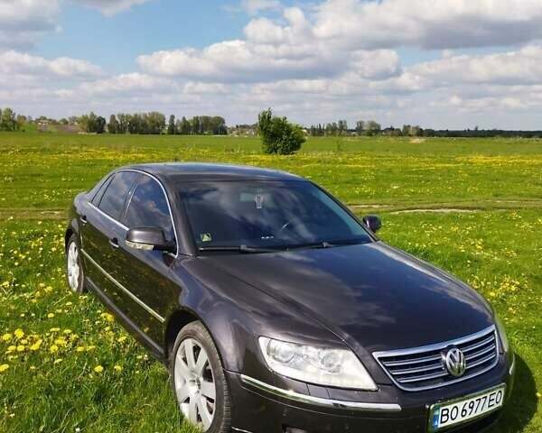 Чорний Фольксваген Фаєтон, об'ємом двигуна 2.97 л та пробігом 290 тис. км за 9000 $, фото 1 на Automoto.ua