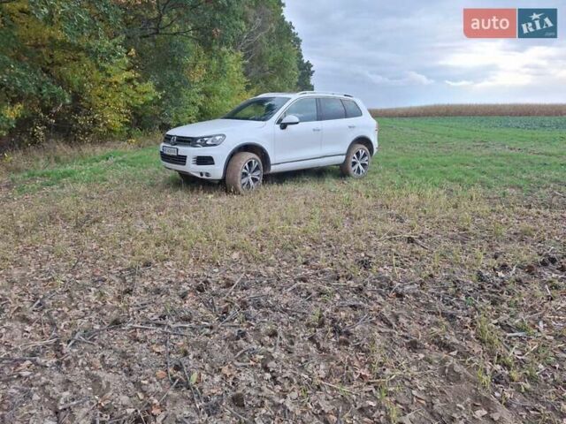 Белый Фольксваген Туарег, объемом двигателя 2.97 л и пробегом 239 тыс. км за 22000 $, фото 1 на Automoto.ua