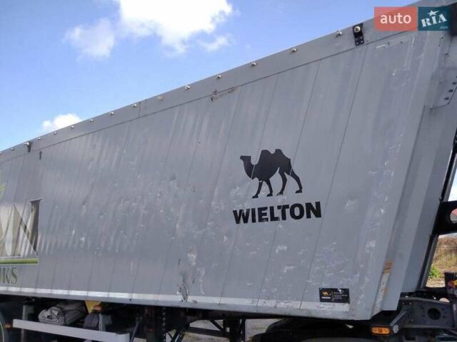 Виелтон NW 3, объемом двигателя 0 л и пробегом 20 тыс. км за 27738 $, фото 1 на Automoto.ua